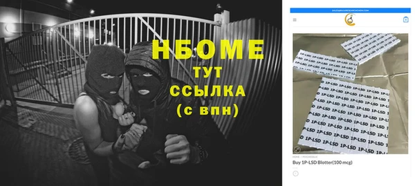 хмурый Карпинск