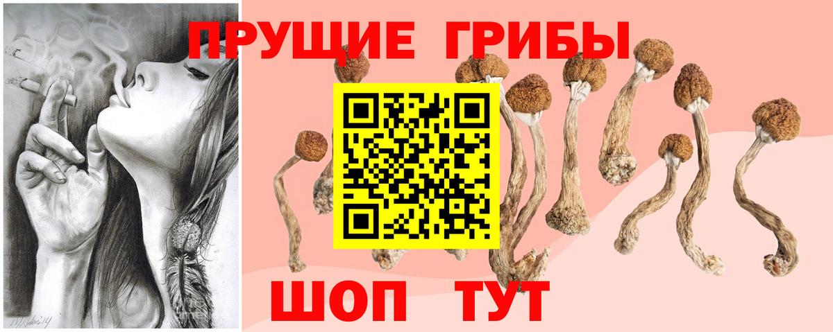 где купить   Галлюциногенные грибы Magic Shrooms  Вход с VPN  Томск  Галлюциногенные грибы Magic Shrooms 