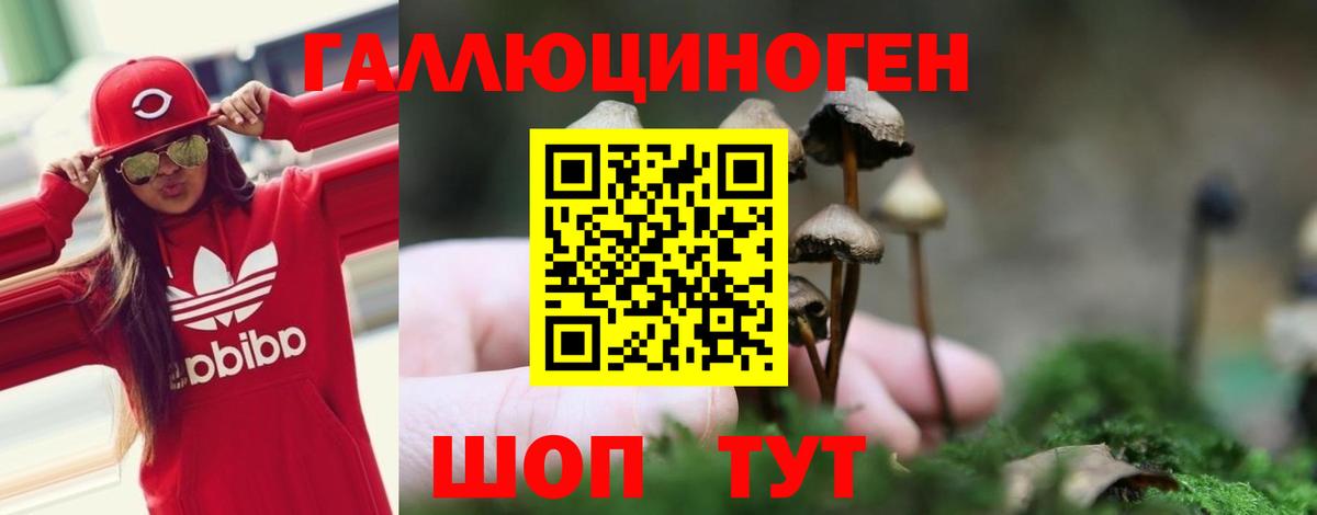 Галлюциногенные грибы мицелий Томск